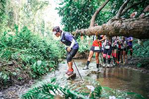 BIB: 
                            <button type="button" onclick="openModal(25516910)" class="btn btn-primary btn-sm float-right btn-popup" data-toggle="modal" data-target=".modal-high-quality">
                        <i class="fas fa-shopping-cart"></i> Add to Cart
                    </button>
                                            <button type="button" onclick="isThisMe(25516910, true)" class="btn btn-success btn-sm float-right btn-popup btn-isme hidden" data-toggle="tooltip" data-placement="bottom" title="นี่คือรูปของคุณใช่ไหม คลิกที่นี่เพื่อเอาเข้าอัลบั้ม">
                        <i class="fas fa-plus"></i> Add to album
                    </button>
                    <button type="button" onclick="isThisMe(25516910, false)" class="btn btn-warning btn-sm float-right btn-popup btn-isnotme hidden">
                        <i class="fas fa-ban"></i> Remove from album
                    </button>